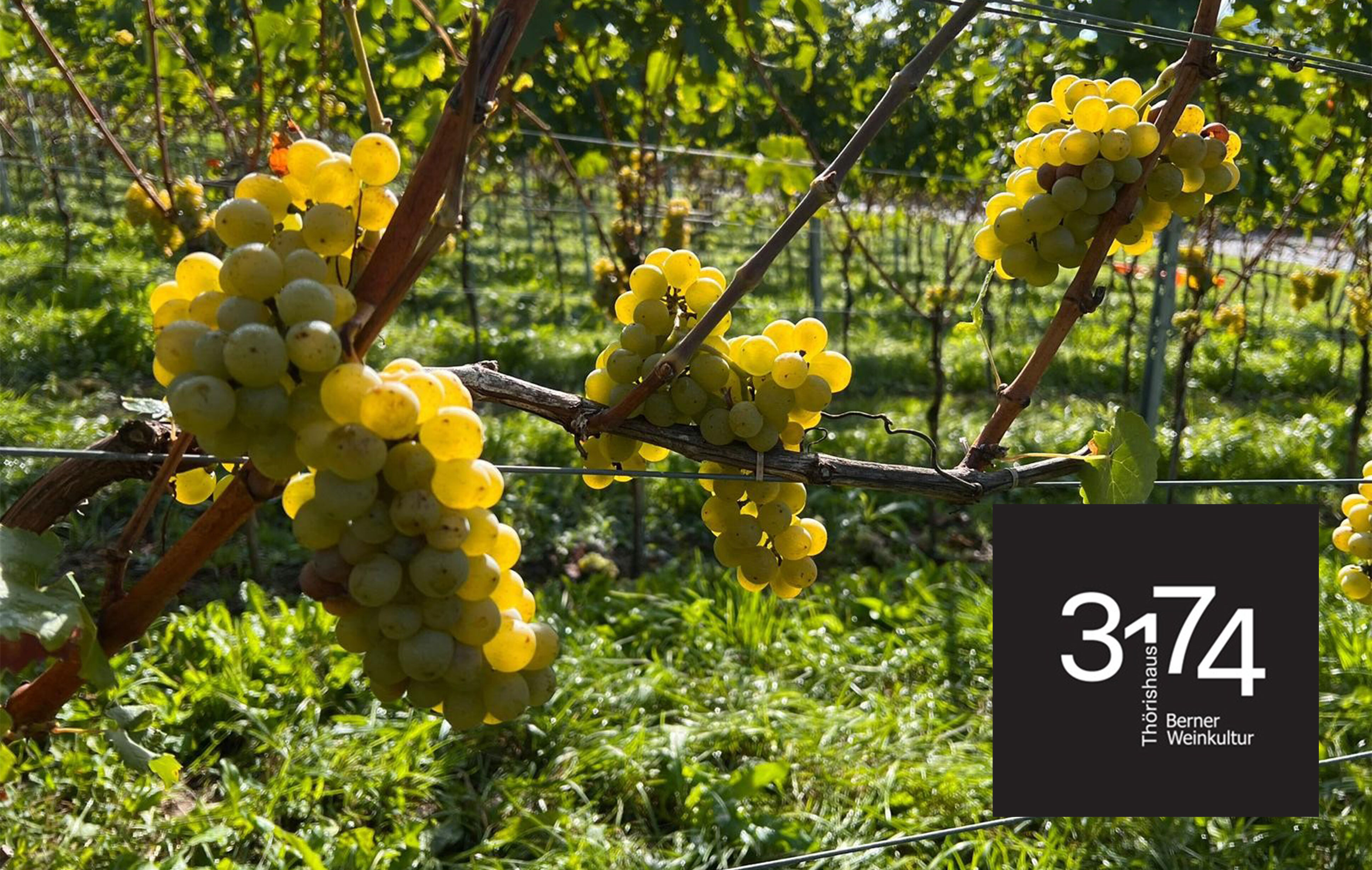 November 2025 / Wenn der Mensch die Landschaft prägt -